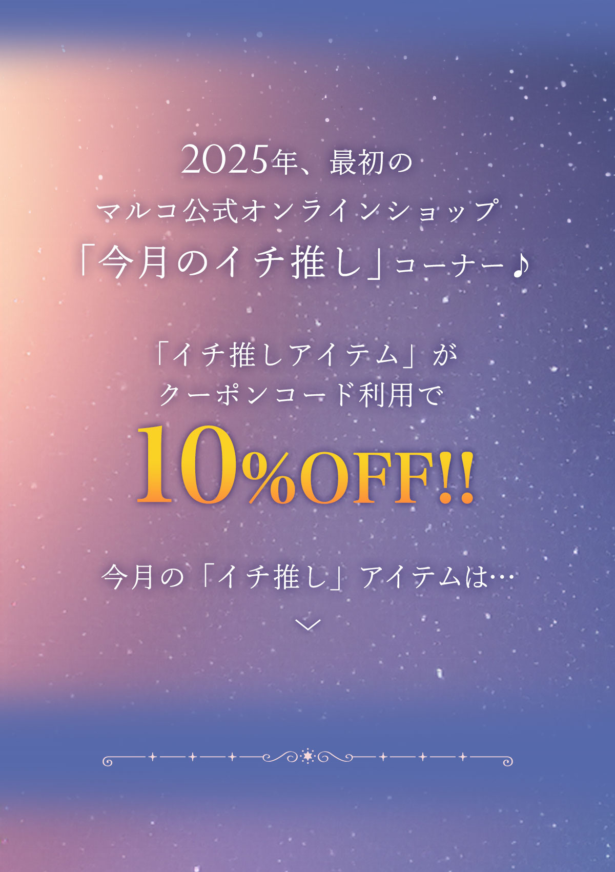 マルコ公式オンラインショップ今月のイチ推し