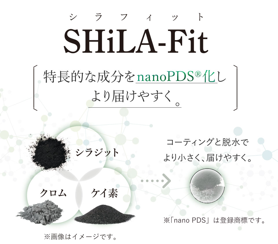 SHiLA-Fit（シラフィット）