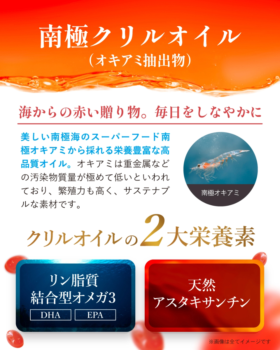 KRiLL Next（クリルネクスト）