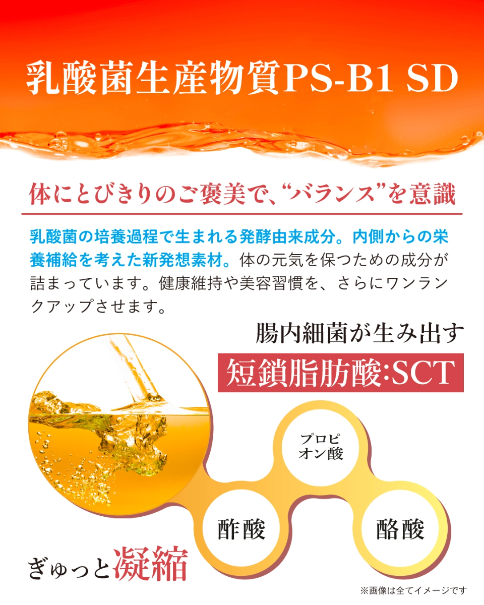 KRiLL Next（クリルネクスト）