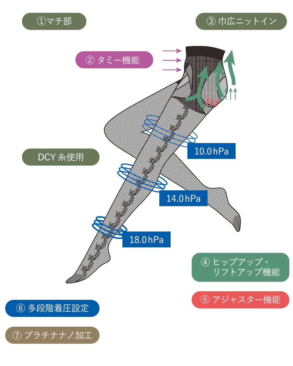 レッグメイキング　アカンサス　商品詳細