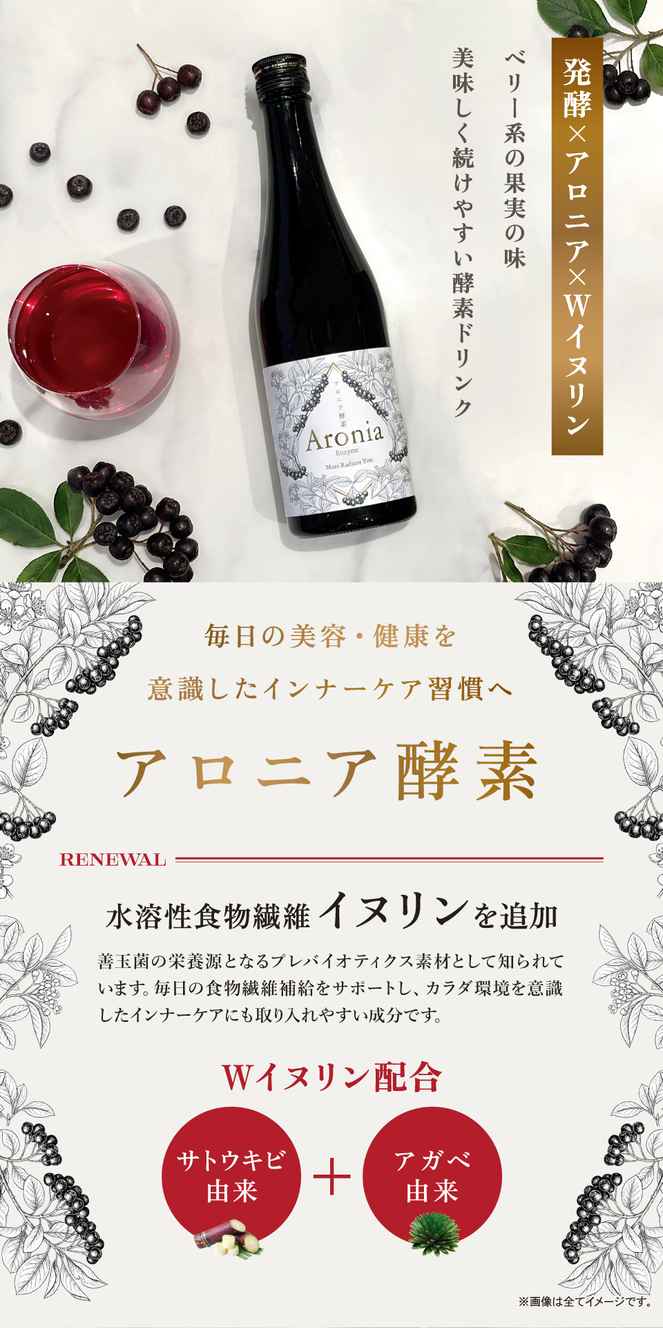 アロニア酵素R　発酵×アロニア×Wイヌリン配合。ベリー系の果実の味。美味しく続けやすい酵素ドリンクです。毎日の美容・健康を意識したインナーケア習慣へ。