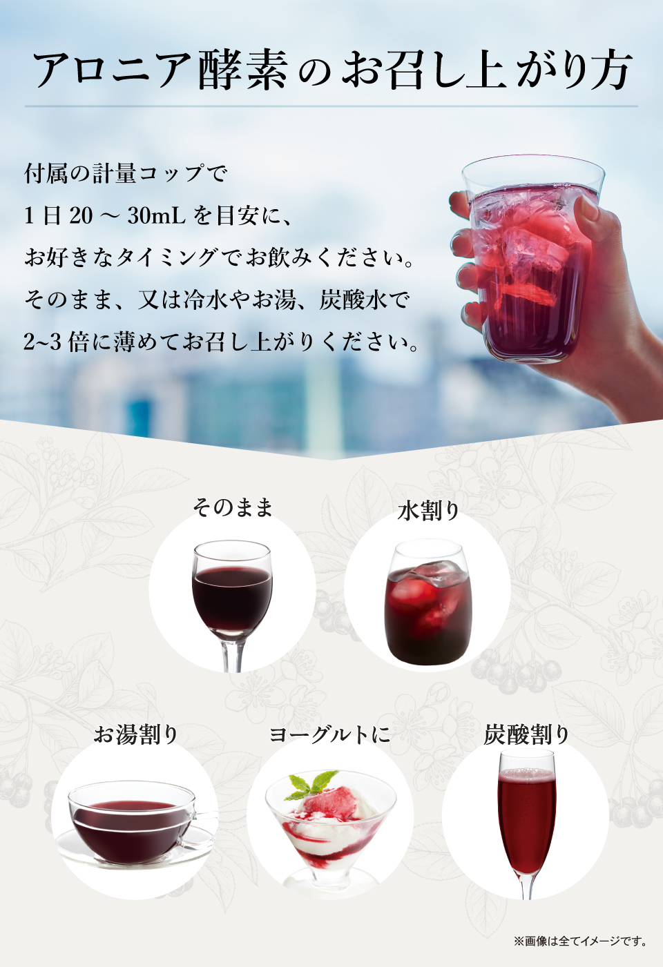 アロニア酵素R　【お召し上がり方】付属の計量コップで1日20〜30mLを目安に、お好きなタイミングでお飲みください。そのまま、又は冷水やお湯、炭酸水で2〜3倍に薄めてお召し上がりください。