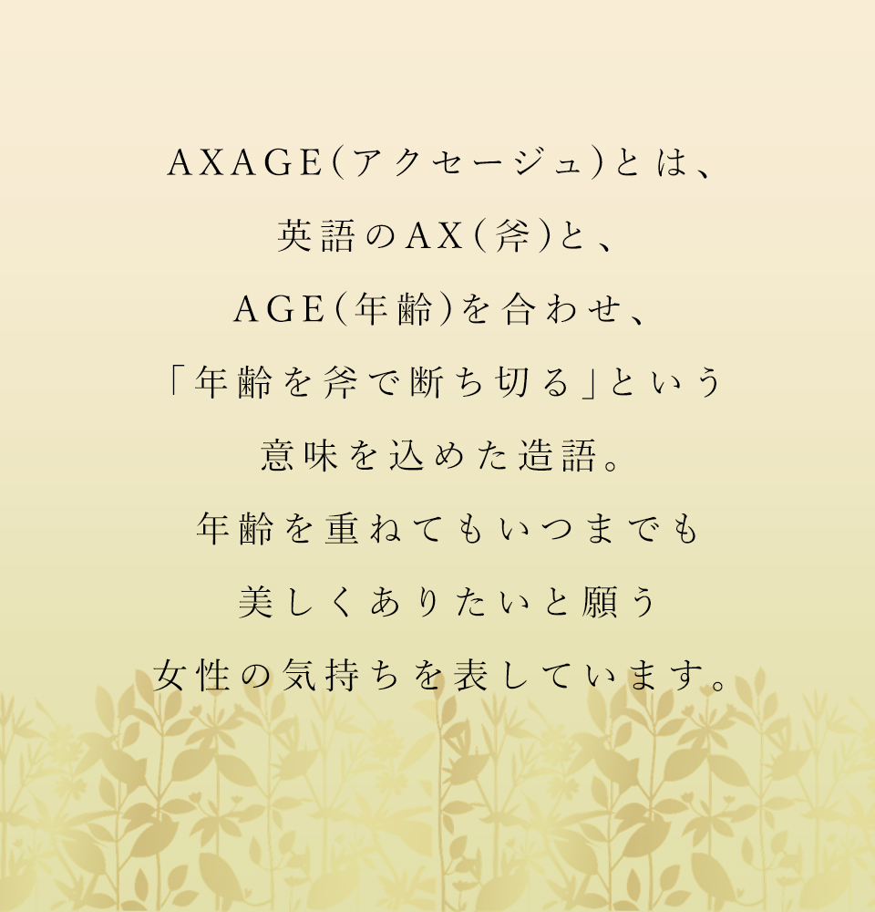 アクセージュ S10　イメージ