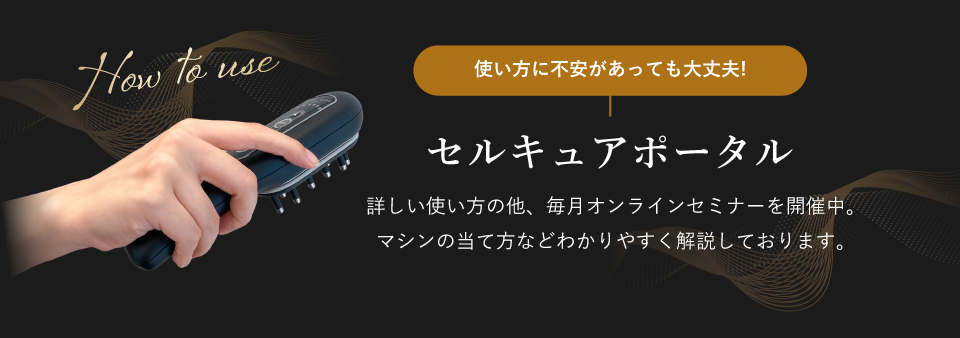 【セルキュア4T++】ポータル