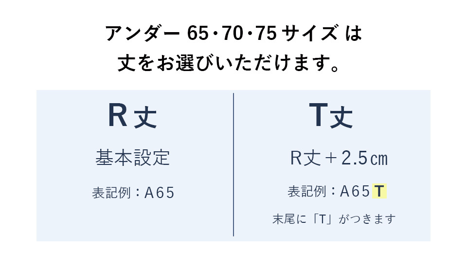 カーヴィシャス エターヴェリー フルカップボディスーツ