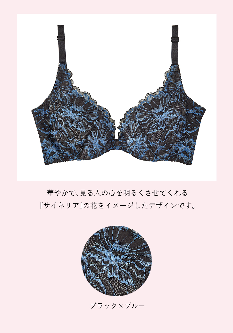 カラーバリエーション　【サイネリア柄】
