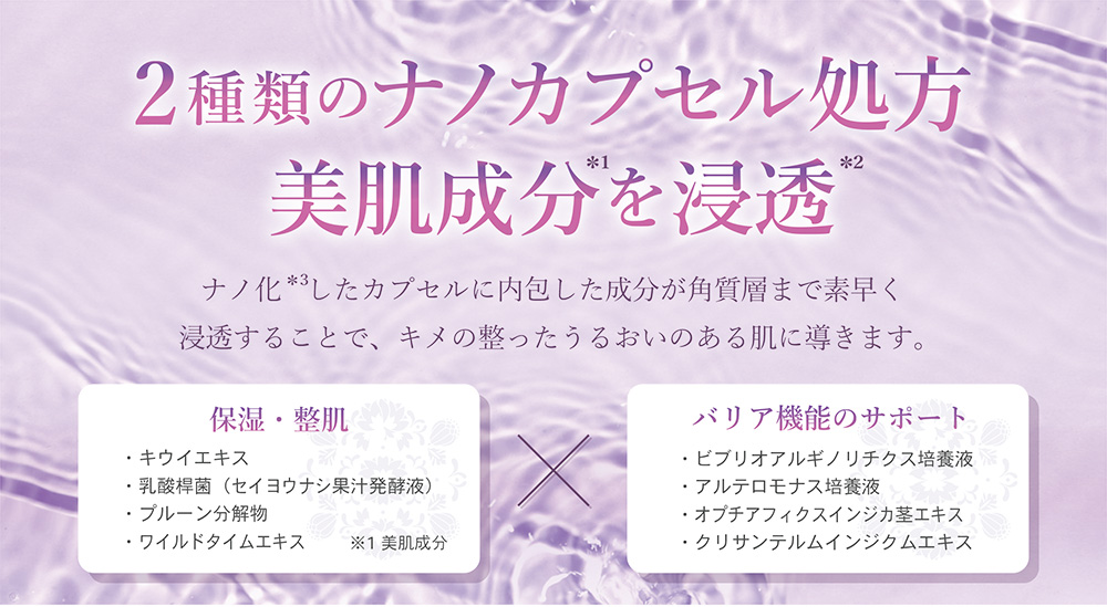 2種類のナノカプセル処方　美肌成分を浸透