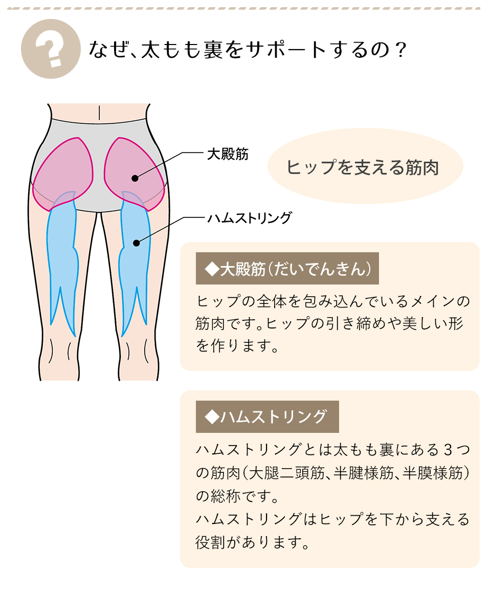 レッグメイキング　サイサポートレギンスby.シンメトリー　なぜ太もも裏をサポートするの？