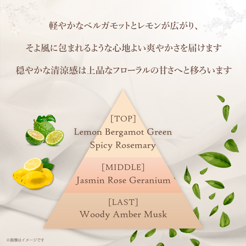 MARUKOプレミアムクレンジングオイル120ml3本セット ミモアマルコ プレミアムクレンジングオイル ホワイトティー | 補整